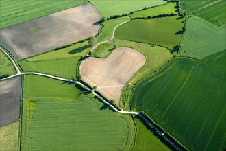 Aerial view of a heart-shaped field