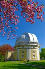 Bergedorf Observatory with flowering fruit trees
