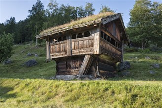 Historic wooden house with a roof covered by vegetation