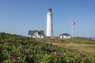 Lighthouse of Hirtshals with outbuildings