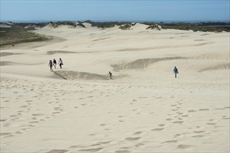 Tourists strolling on the Rabjerg Mile migrating dune