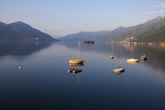 Morning mood and boats in front of the Brissago Islands