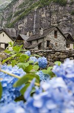 Flowers in front of the hamlet of Sonlert