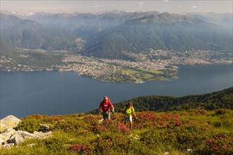 Man and a woman hiking amidst blooming rhododendron on Monte Covreto