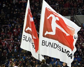 Bundesliga flags flying in the Wirsol Rhein-Neckar Arena