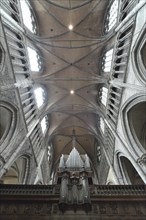 Organ and vaulted ceiling