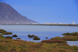 Almadraba de Monteleva