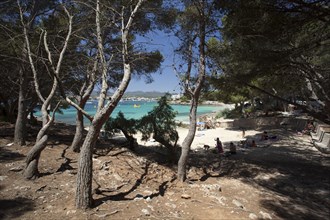 Platja S'Arenal beach