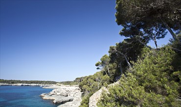 Rocky coast