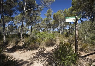 Hiking trail with signpost