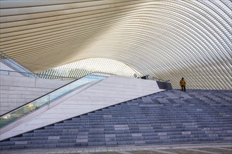 Railway station of Liege