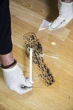 Shoe print on the floor