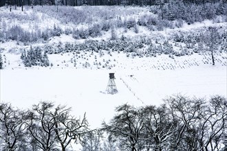 Snow-covered landscape