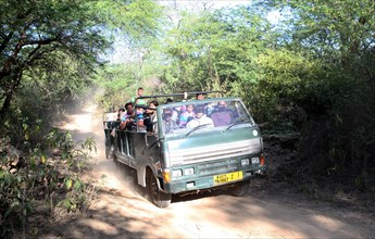 Tourists in an open jeep on a tiger safari Ranthambore National Park