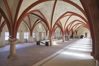 The Gothic cross-ribbed vault in the dormitory of Eberbach Abbey