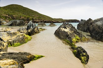 Rocks overgrown with algae in the Spiaggia di Planusartu bay