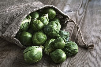 Organic Brussels sprouts in a jute sack on a wooden surface