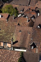 Roofs of buildings in the historic centre