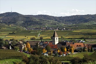 Wine village and cultural landscape in autumn
