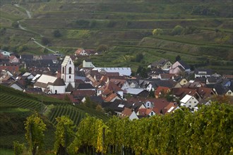 Village surrounded by vineyards