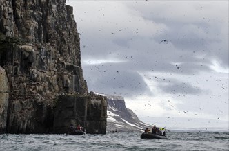 Zodiac inflatable boats cruising along the bird cliffs of Alkefjellet