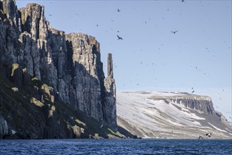 Alkefjellet bird cliffs