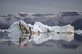 Icebergs and mountains in the evening light with reflections