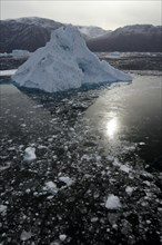 Iceberg surrounded by smaller pieces of ice
