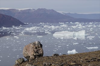 Rocky landscape of the island of Sorte Oer in front of drifting icebergs
