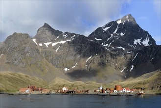 Former Grytviken whaling station