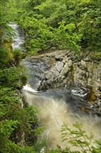 River Llugwy or Afon Llugwy