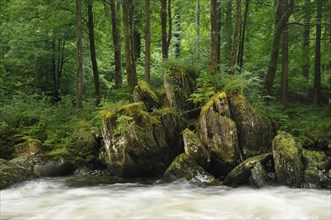 Rocks at the River Llugwy or Afon Llugwy