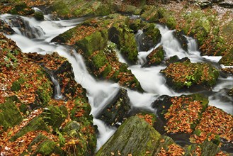 Waterfall in the Selke River in autumn