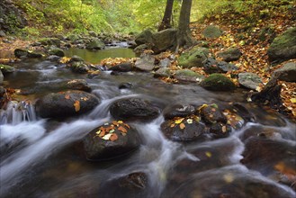 Ilse River in autumn