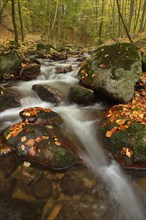 Ilse River in autumn