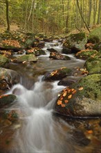 Ilse River in autumn