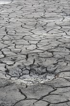 Cracked bed of a drained carp pond in autumn