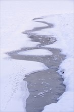 Snow and ice in a drained carp pond