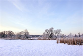 Snow-covered and frosty winter landscape in a pond area