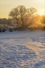 Snow-covered and frosty winter landscape in a pond area at sunrise