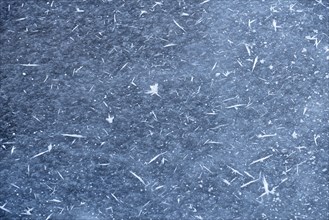 Frost crystals on a patch of ice
