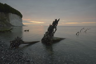 Steep coast with chalk cliffs at sunrise