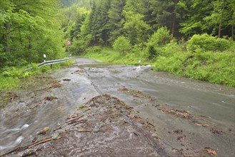 Road in the Harz region covered in water and debris after heavy rainfalls