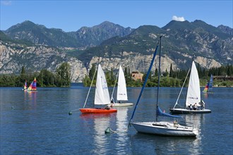 Sailing boats on Lake Garda