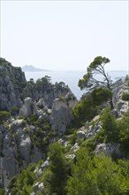 Karst rocks in the rocky bay Calanque d'En-Vau