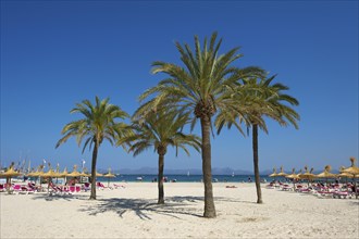 Beach of Platja d'Alcudia