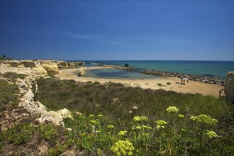 Beach of Ciriga