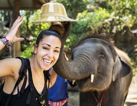 Elephant lifting tourist's hat at an elephant camp