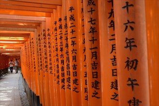 Walkway made of Torii with inscriptions