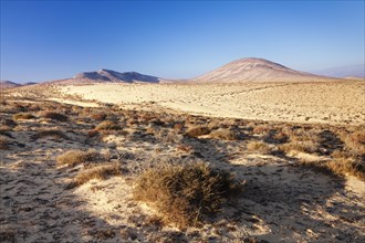 Desertlike landscape